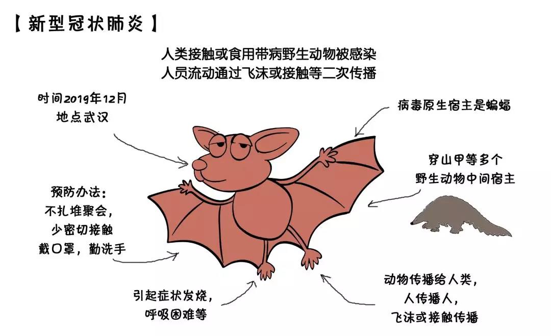 新型冠狀病毒