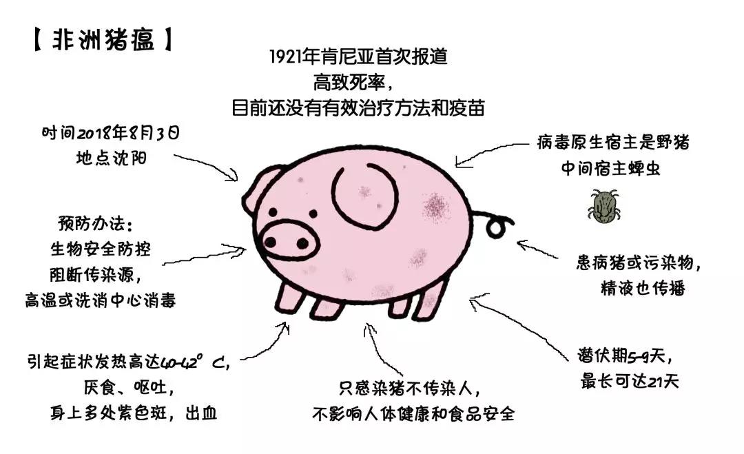 非洲豬瘟田園奧瑞